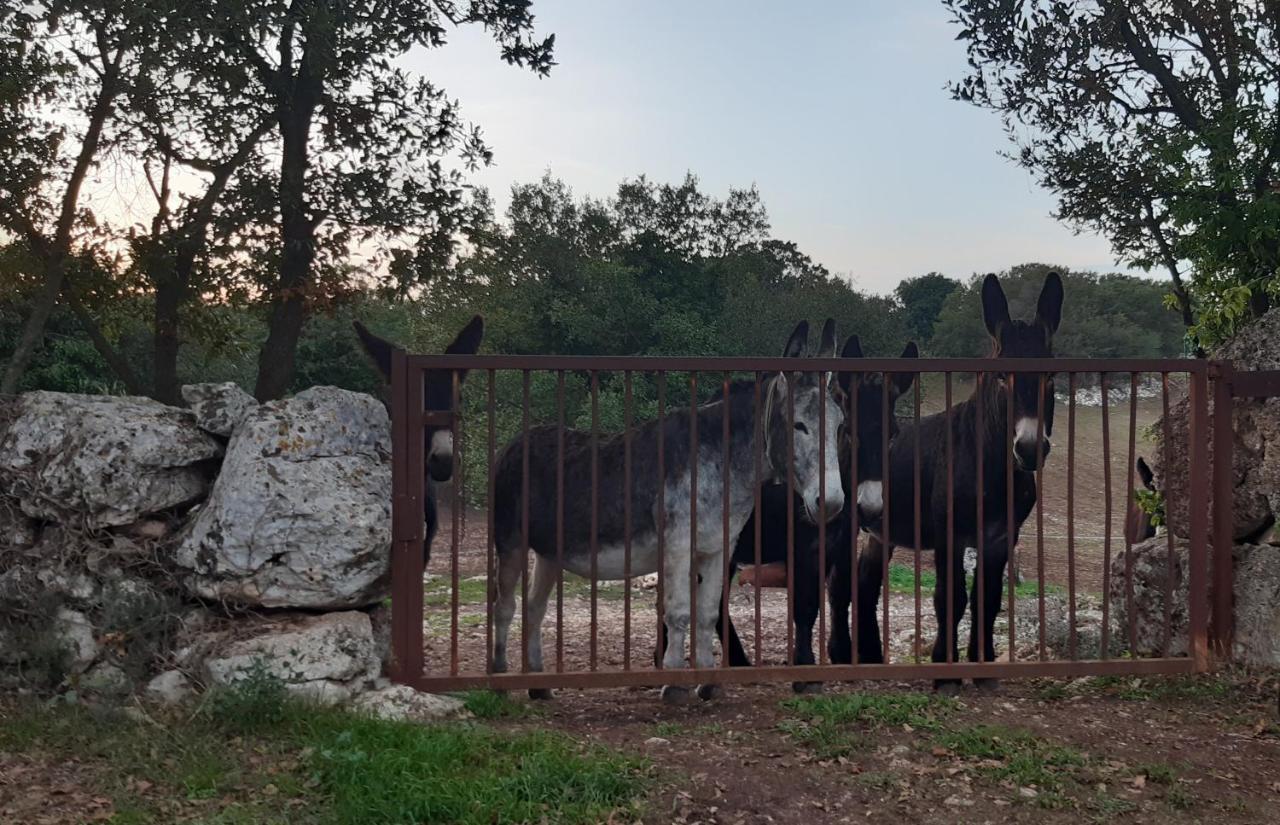 Pietra D'Angolo Locorotondo Kültér fotó