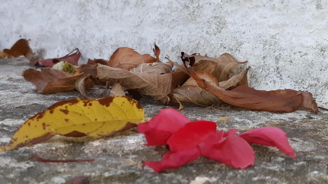Pietra D'Angolo Locorotondo Kültér fotó